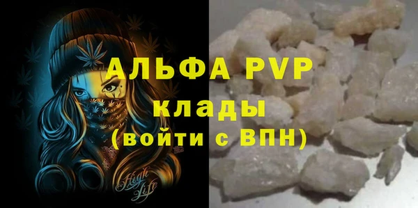 прущий лед Вяземский