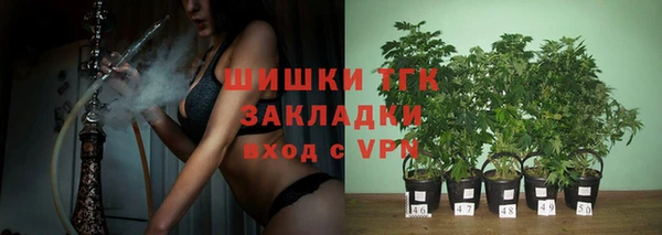 прущий лед Вяземский
