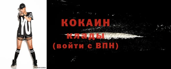 spice Володарск